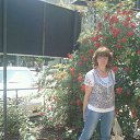 ���� ����� -, ��������� - ��������� 25 ���� 2015 � ������ ���� ����������