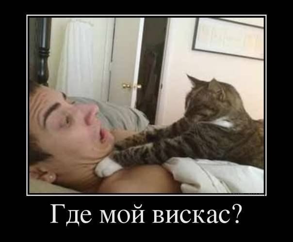 ������������ ���� - 29 ��� 2015 � 21:15