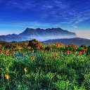 ���� ����, ������ - ��������� 19 ��� 2015 � ������ ���� ����� ��������