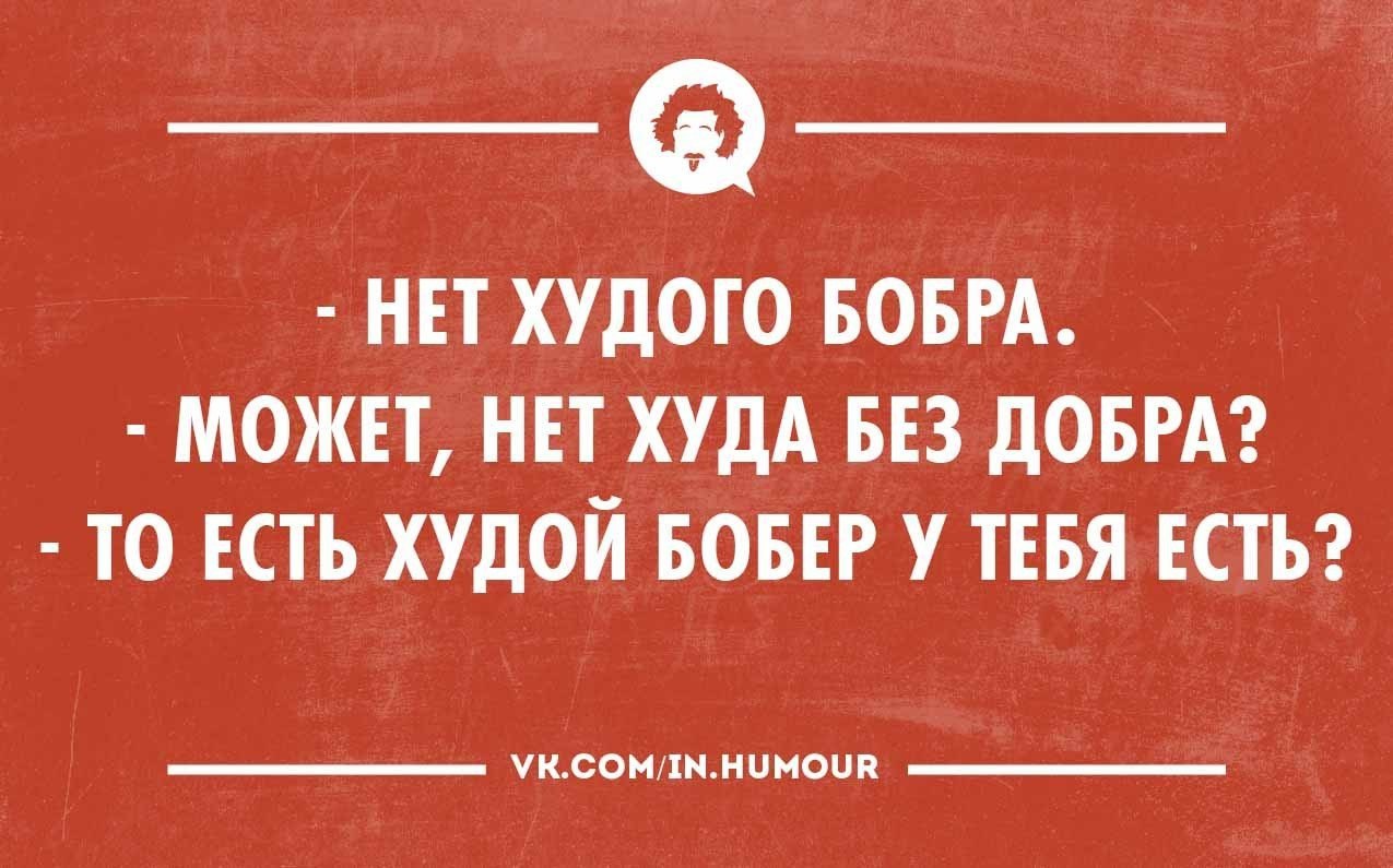 Проклятье ведьма или нет худа без бобра. Пословица нет худа без добра. Нет худа без добра картинки. Что означает нет худа без добра. Смысл поговорки нет худа без добра.