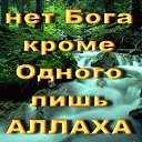 ���� Z, ������, 38 ��� - ��������� 15 ���� 2015 � ������ ���� ���� ������