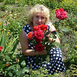 �������, ������