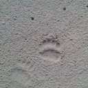 ���� ���������, ����, 66 ��� - ��������� 15 ���� 2015 � ������ ���� ����������