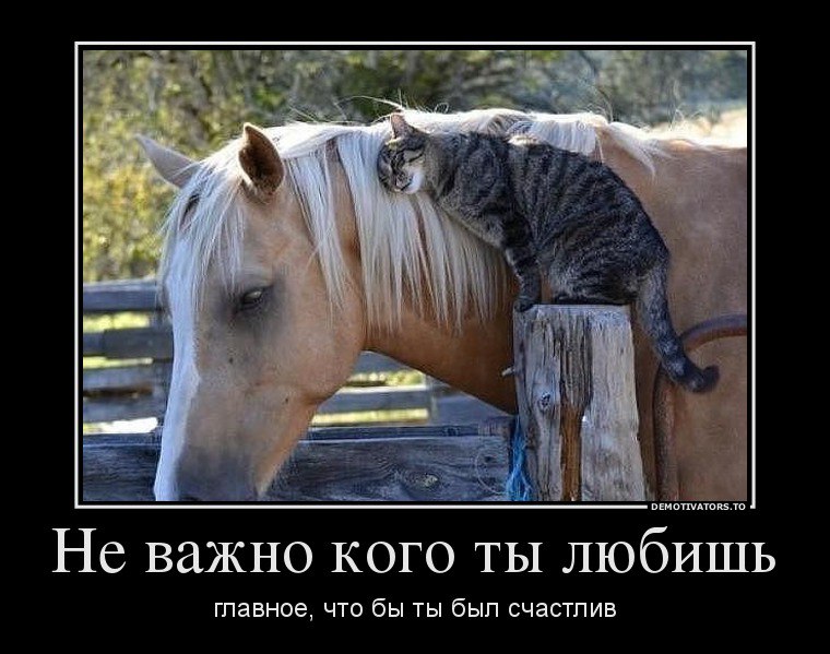 � ����� ����... - 24 ���� 2015 � 15:30