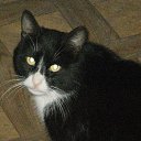 ���� ��������, ������������ - ��������� 29 ���� 2015 � ������ ������ ��������