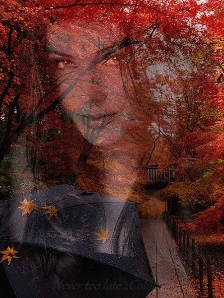 Она цеплялась за любовь, Как за последнюю надежду, Что омолаживает кровь И носит светлые одежды. Она ...