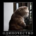 ���� Valeriynemo, ��������� - ��������� 20 ���� 2015 � ������ ������ ��������