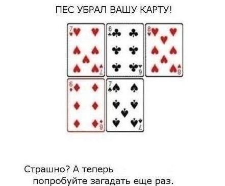    :D - 11  2015  14:42 - 3