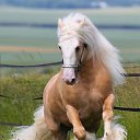 ���� Vladimip, �����������, 60 ��� - ��������� 29 ���� 2015 � ������ ������ ��������