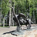 �����-�������� �� ������� �������(�����)�