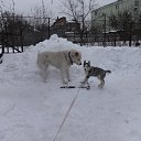 ���� �����, ������, 63 ���� - ��������� 8 ���� 2015 � ������ ���� ����������