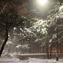 ���� �������, ��������� - ��������� 28 ��� 2015 � ������ ����������� - ��� �����