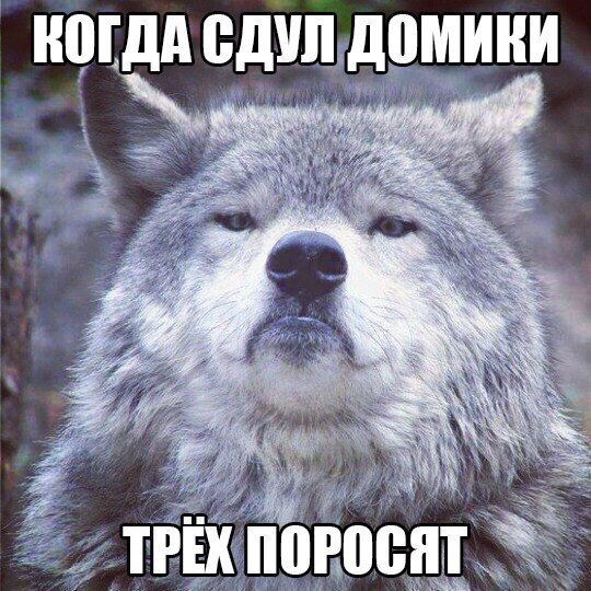 Волк на все случаи жизни. - 2