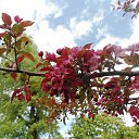 ���� ������� - �� ��������!, �������� - ��������� 28 ���� 2015 � ������ ���� ������