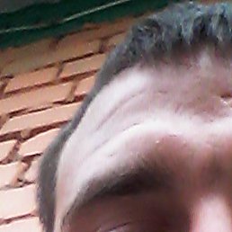 ����, ������ ��������, 33 ����