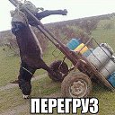 ���� �������, ������, 58 ��� - ��������� 10 ��� 2015