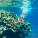  , , 48  -  27  2015   Coral Beach Resort Montazah