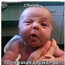 ���� ��������, ������������ - ��������� 31 ������� 2015 � ������ ���� ����������