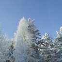 ���� �����, ��������, 55 ��� - ��������� 2 ���� 2015 � ������ ���� ����������