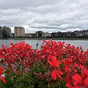 ���� �������, �������, 54 ���� - ��������� 1 ������� 2015 � ������ ���� ����������