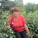 � ���� ���� 2015 �� ������� ���� ����������