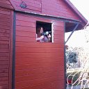 ���� ��������, ������ - ��������� 10 ��� 2015 � ������ ������ ��������