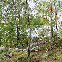 ���� Viktor, �����-��������� - ��������� 29 ������� 2015 � ������ �����������, �������! (�� �������� ������)�