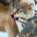 ���� ������, ������, 45 ��� - ��������� 29 ���� 2015 � ������ ������ ��������