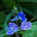 ���� �����, �����, 64 ���� - ��������� 9 ���� 2015 � ������ ����� ���� ���� (07.06.2015)�