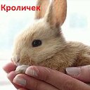 ���� �����, �������������, 80 ��� - ��������� 4 ������� 2015 � ������ ����� ��������