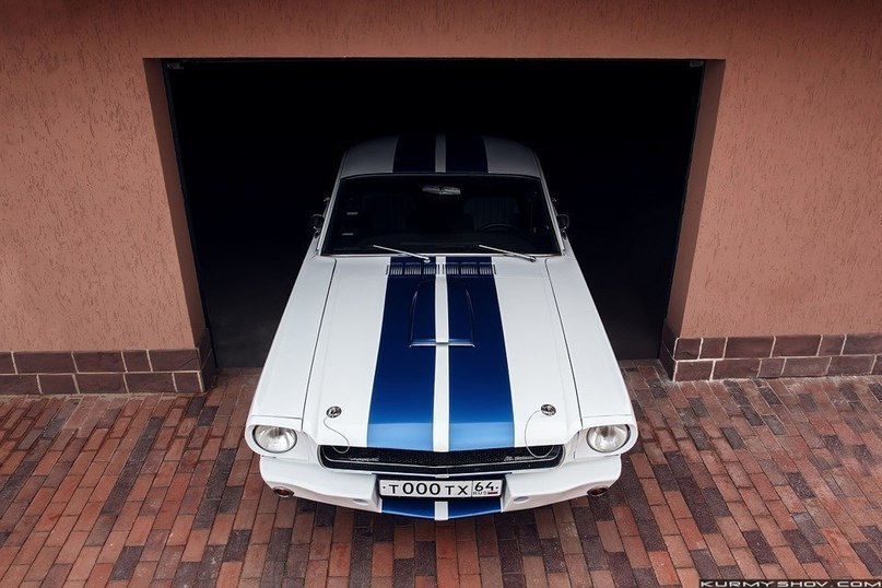 Ford Mustang Shelby GT350 - 3