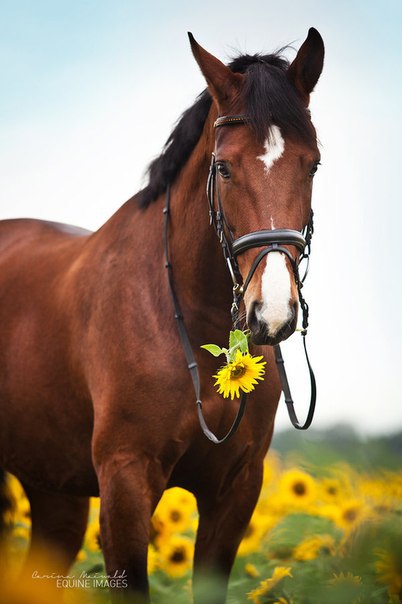 ����� ������� - 8 �������� 2015 � 18:30 - 4