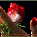 ���� Nurali, ������, 59 ��� - ��������� 15 ������� 2015 � ������ ���� ����������