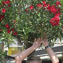 ���� ������, ������ - ��������� 29 ���� 2015 � ������ ���� ����������