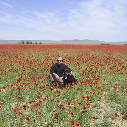 ���� ����, ������, 49 ��� - ��������� 12 ��� 2015