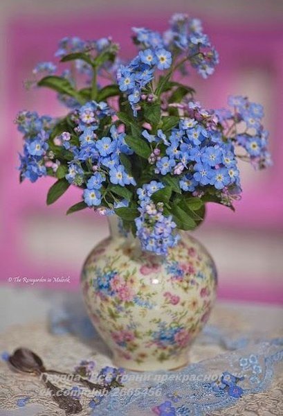 Когда человек становится родным, ты не воспринимаешь его как собрание плюсов и минусов. Он для тебя ... - 6