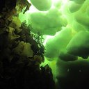 ���� Iceberg, ������ - ��������� 27 ������� 2015 � ������ ���������