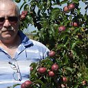 ���� �������.�� �������..., �����-��������� - ��������� 21 �������� 2015 � ������ ���� ����������