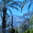 ���� ���������, �����������, 69 ��� - ��������� 18 ��� 2015 � ������ �������.��� 2015�