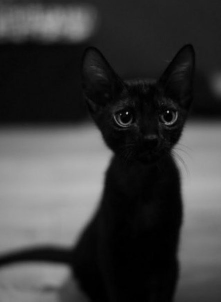   - 26  2015  16:16 - 5