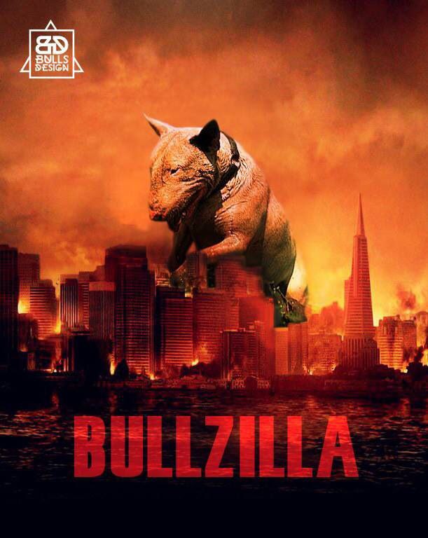 Английский бультерьер. - 5 мая 2015 в 04:54