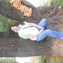 ���� �������, ������� �������� - ��������� 16 ���� 2015 � ������ ���� ����������