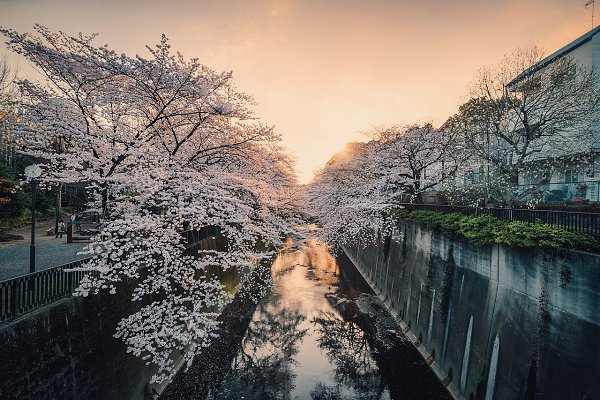 Itabashi, Tokyo, Japan