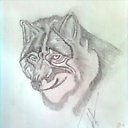 ���� ����, ���������, 34 ���� - ��������� 13 ���� 2015 � ������ �� � �������