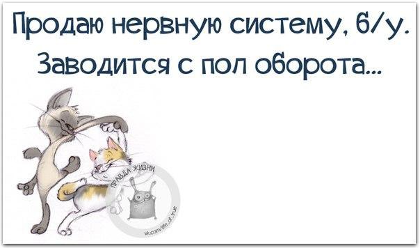   - 15  2015  14:44