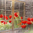 ���� ����, ��������������, 49 ��� - ��������� 1 ��� 2015 � ������ �����