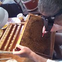 ���� ������, �������� - ��������� 20 �������� 2015 � ������ ���� ����������