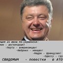 ���� �����, ������ - ��������� 29 ������� 2015 � ������ ������ ��������