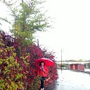  ,  , 69  -  21  2015    