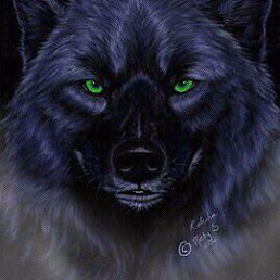 �������, ����������, 46 ���